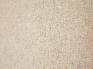 見どころ 見どころ