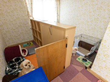 見どころ 見どころ